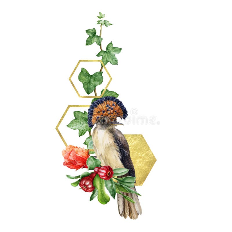 Flycatcher bird with pomegranate flower and fruit hand drawn watercolor arrangement. Close up illustration of exotic tropical bird, ivy leaves and golden decor. Isolated on white background