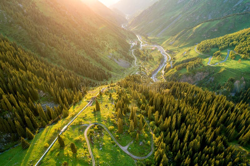 Flyg- bästa sikt av gröna träd för sommar i skog med en storartad bergflod i Kasakhstan arkivfoton Flyg- bästa sikt av gröna träd för sommar i skog med en storartad bergflod i Kasakhstan arkivfoton