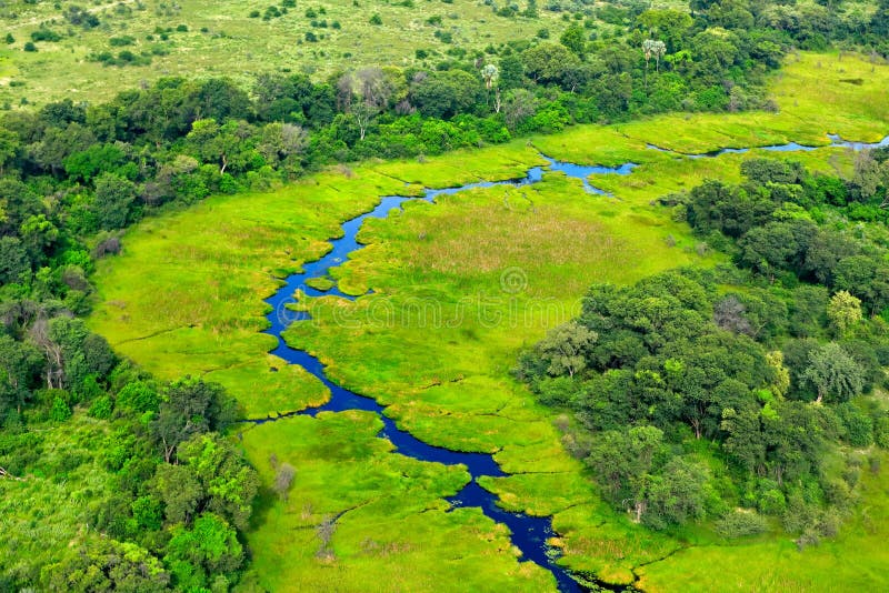 Flyg- landskap i den Okavango deltan, Botswana Sjöar och floder, sikt från flygplanet Grön vegetation i Sydafrika Träd med w fotografering för bildbyråer Flyg- landskap i den Okavango deltan, Botswana Sjöar och floder, sikt från flygplanet Grön vegetation i Sydafrika Träd med w fotografering för bildbyråer