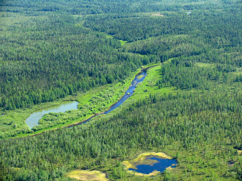 Flyg- siberian taigasikt royaltyfri bild