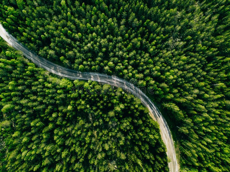 Flyg- sikt av den gröna skogvägen Kr? kt v? g fr? n? ver arkivfoto