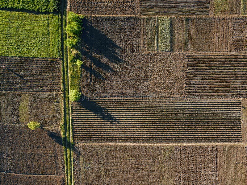 Flygbild av den agro, sommarsikten av grönt land med fält och trädgårdar fotografering för bildbyråer Flygbild av den agro, sommarsikten av grönt land med fält och trädgårdar fotografering för bildbyråer