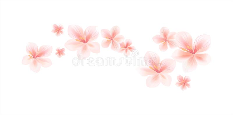 Flygljus - rosa persikablommor som isoleras på vit bakgrund Ap stock illustrationer
