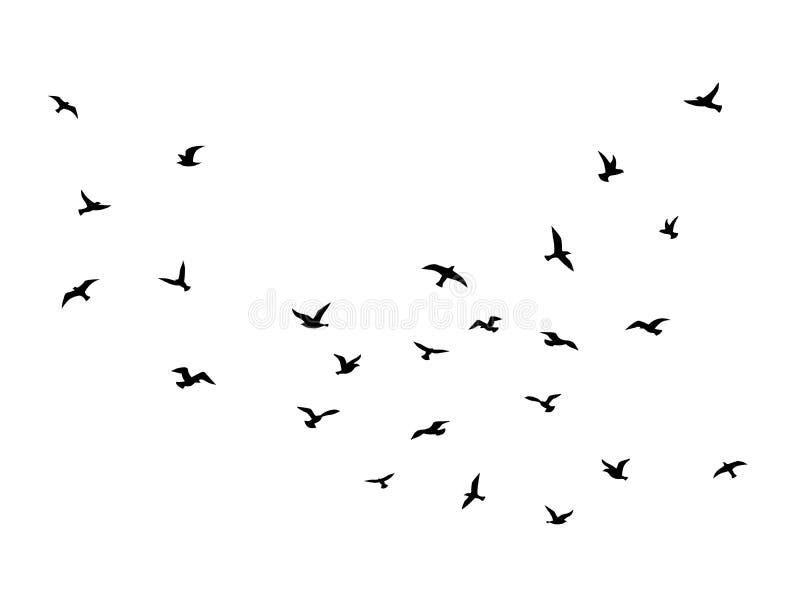 Flying Bird. Flock of Birds Black Silhouettes, Abstract Flight Migration  Animal Wildlife, Simple Seagull Shapes Stock Vector - Illustration of  design, migration: 192767295