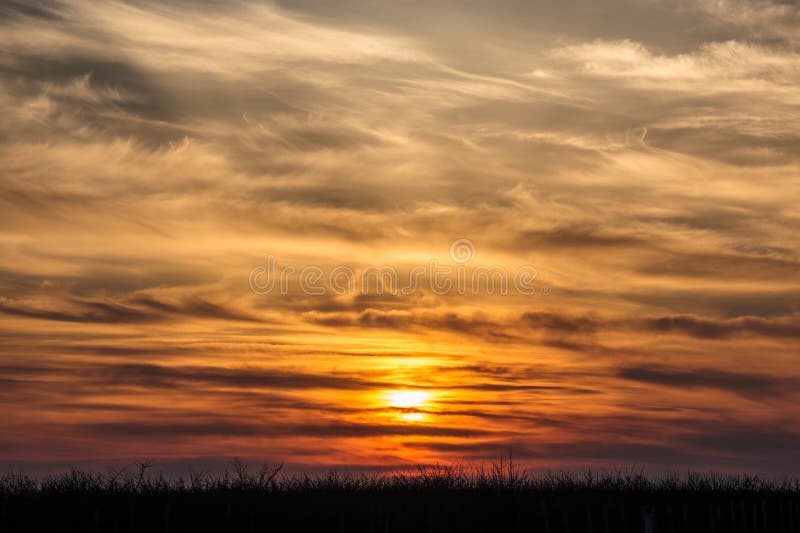 Flying birds on dramatic sunset background