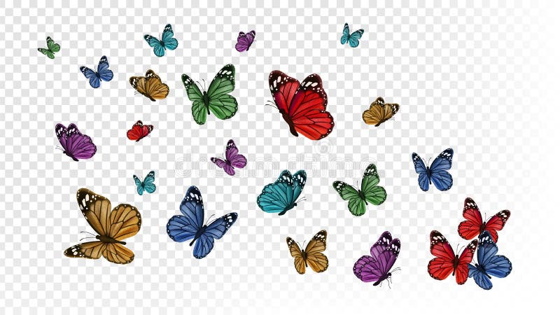 Flying Butterflies. Colorful Butterfly Isolated on Transparent Background  Stock Vector - Illustration of design, graphic: 169856372