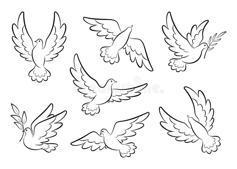 Dove sketch stock vector. Illustration of birds, hope - 32469001