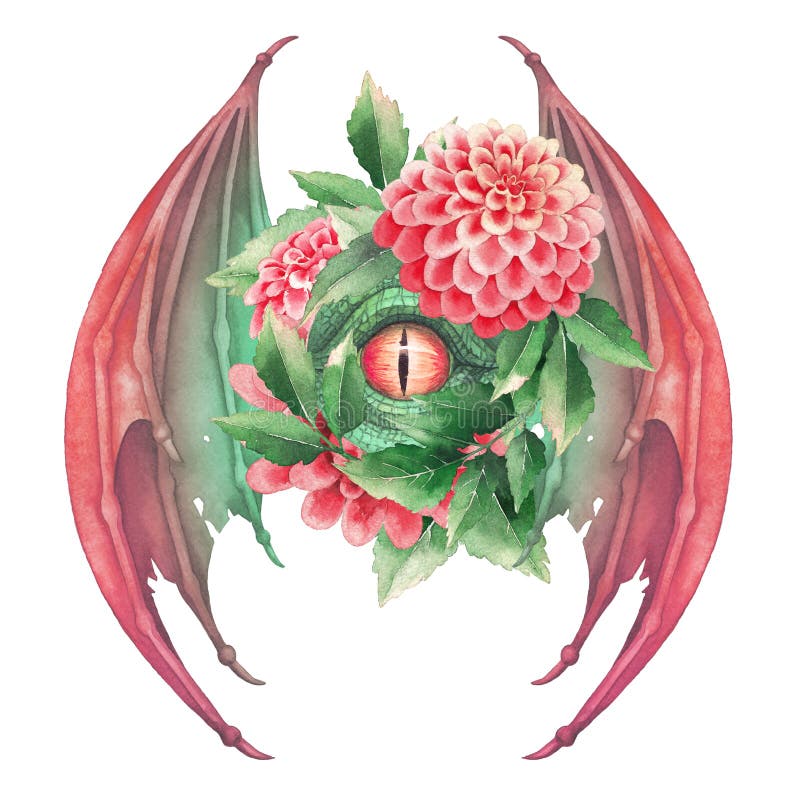 Flying dragon eye in green colors with opened wigs royalty free illustration Flying dragon eye in green colors with opened wigs royalty free illustration