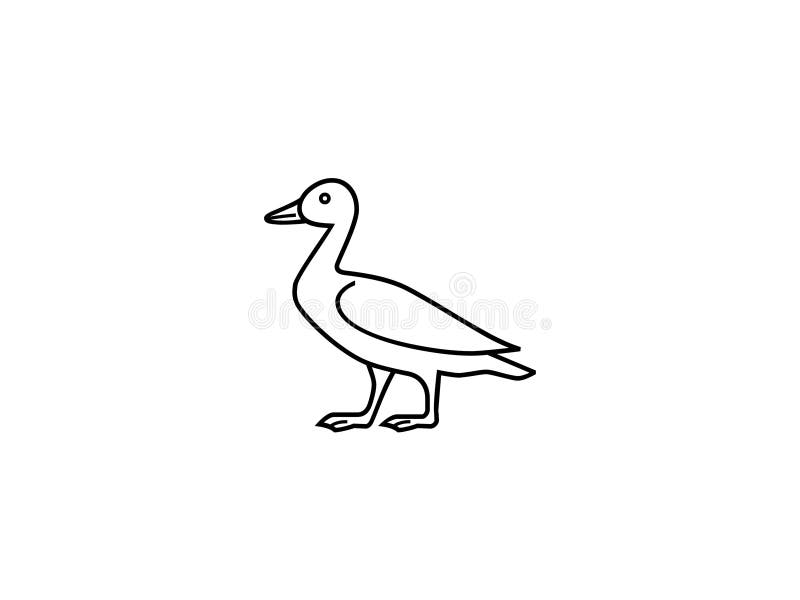 Goose Sketch, Art or Shape Isolated on White Background. Animals and ...