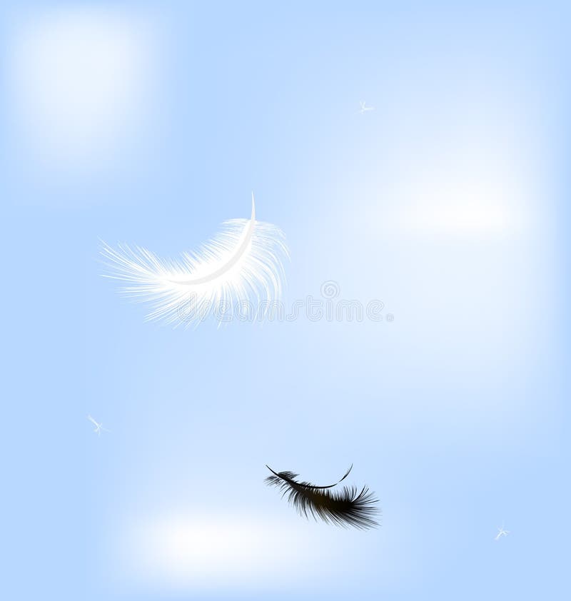 Flying Feathers. Falling Twirled Fluffy Realistic White Swan, Dove or