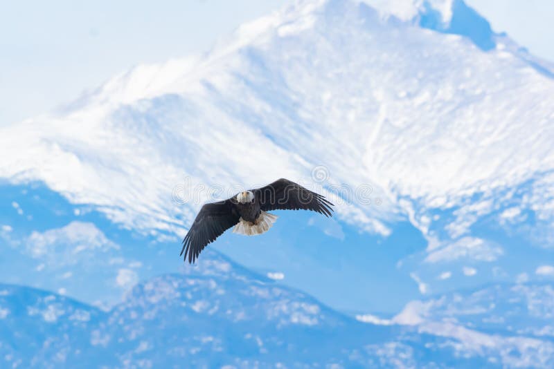 Flying High over the Rocky Mountains