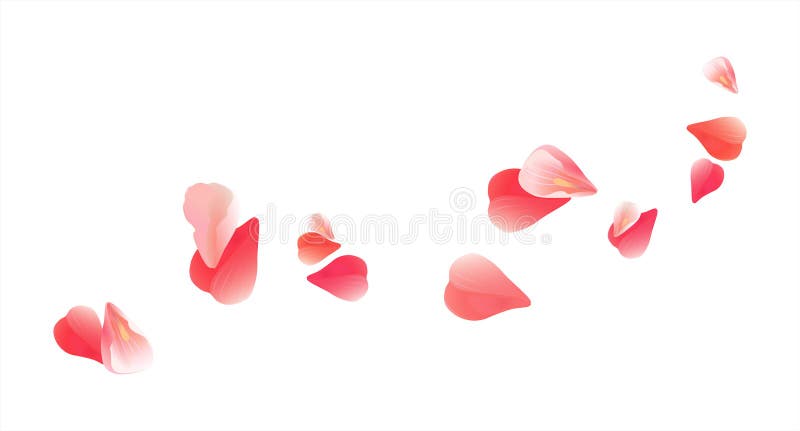 Flying light Pink Red petals isolated on white background. Roses petals. Falling Cherry flowers. Vector EPS 10 cmyk stock illustration Flying light Pink Red petals isolated on white background. Roses petals. Falling Cherry flowers. Vector EPS 10 cmyk stock illustration