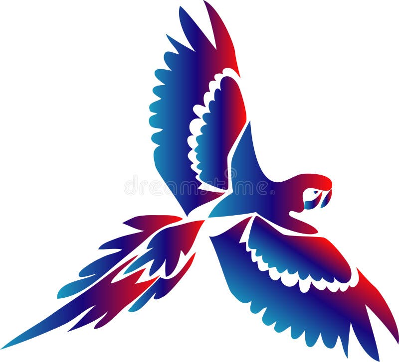 Flying macaw vector illustration Flying macaw vector illustration