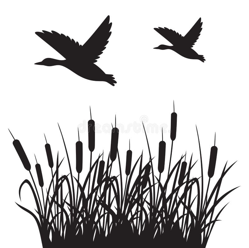 Flying mallard duck and reeds vector illustration vector illustration