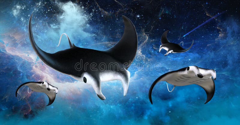 Flying Outer Space Manta Stingray royalty free illustration Flying Outer Space Manta Stingray royalty free illustration