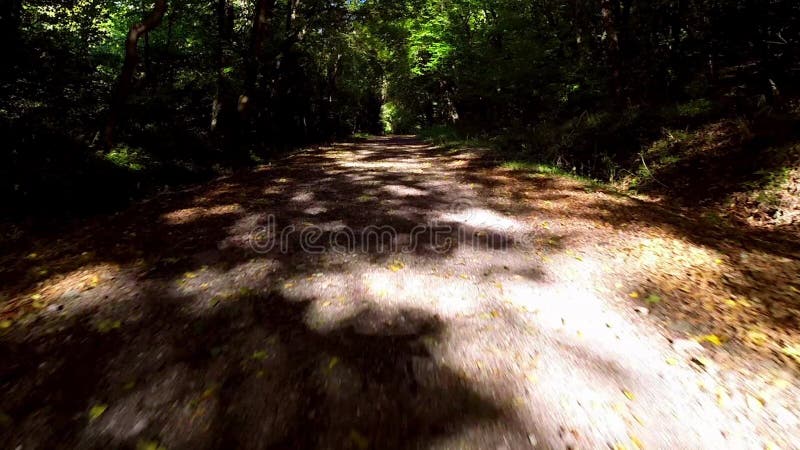 Flying over a path through the woods