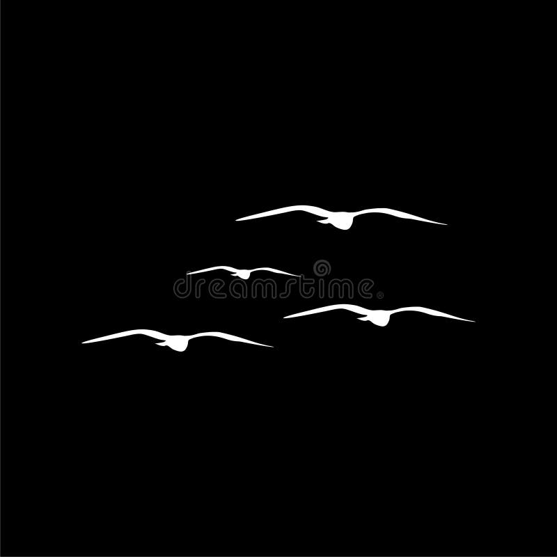 Flying Seagull Bird silhouette isolated on black background