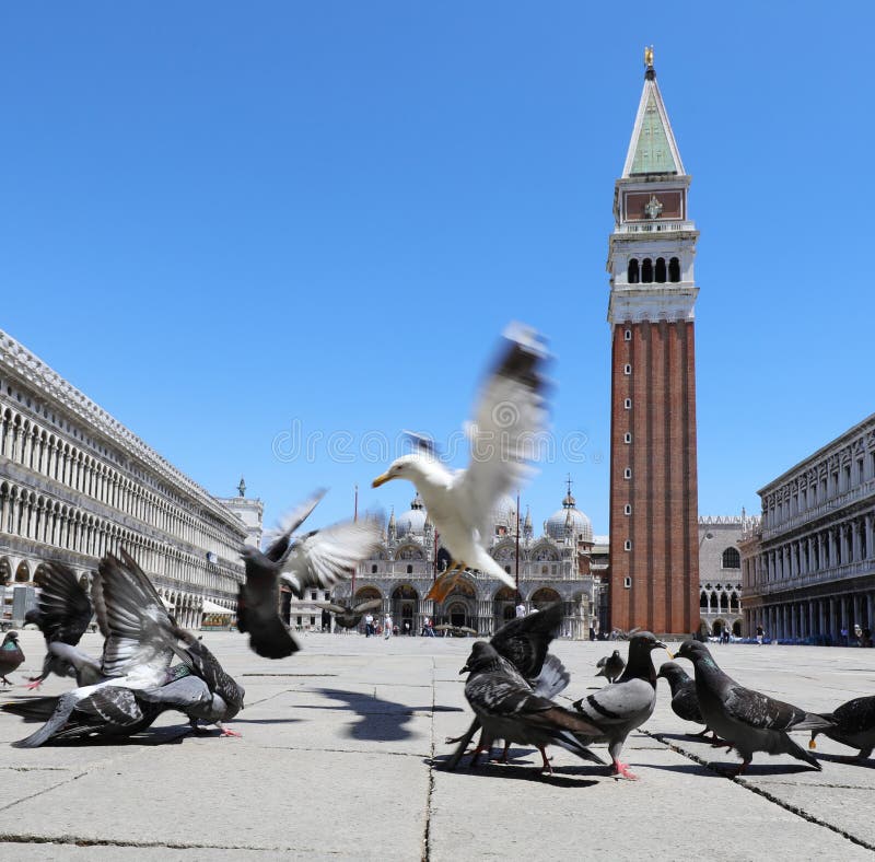 Volare gabbiano approdo piccioni santo segno la piazza cittadina meridionale Europa.