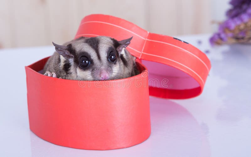 Flying Sugar Concept. Flying Sugar Cubes From Ice Cream Cone On Yellow