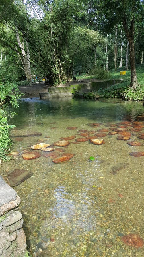 Flüssiges haarscharfes Wasser des Flusses lizenzfreie stockbilder Flüssiges haarscharfes Wasser des Flusses lizenzfreie stockbilder