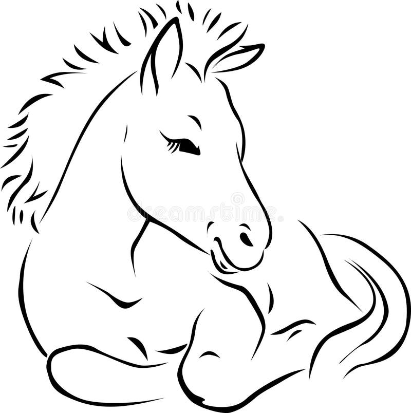 Foal - Black Outline Illustration Stock Vector - Illustration of equestrian, elements: 30515145