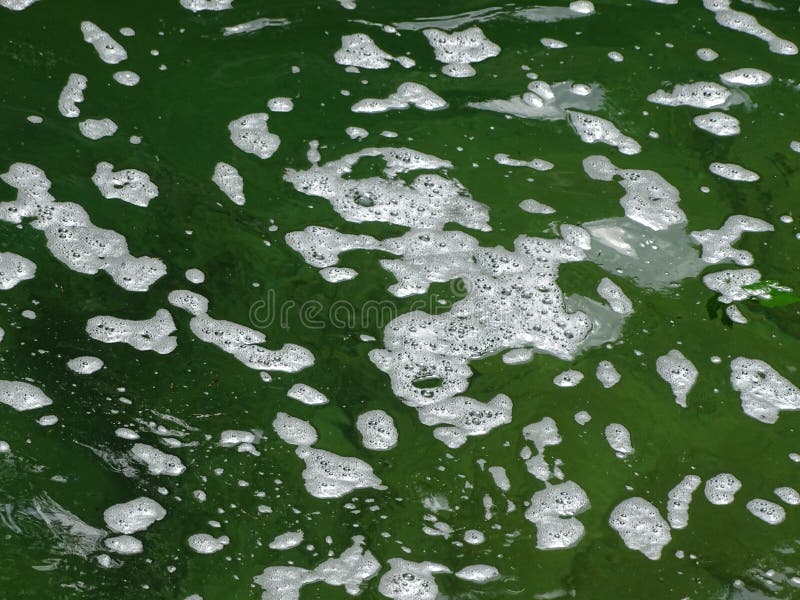 Foam river Walchen near Sylvenstein lake