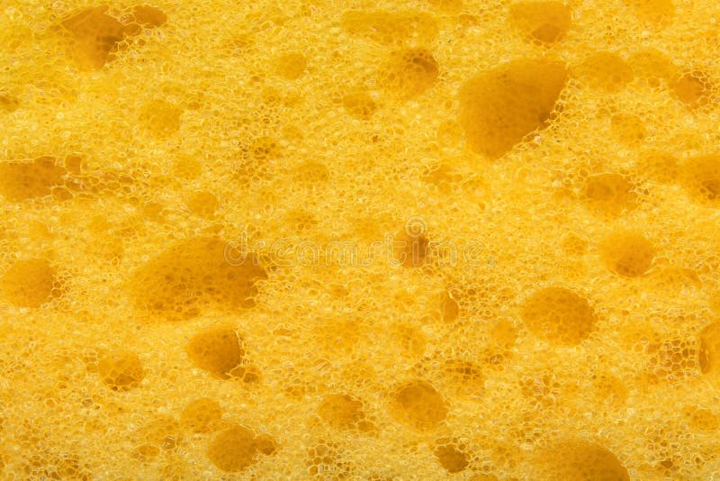 Foam sponge texture in macro. Textured background