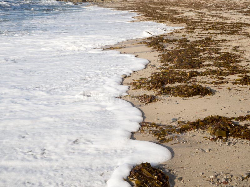 foamy waves arkivfoton foamy waves arkivfoton