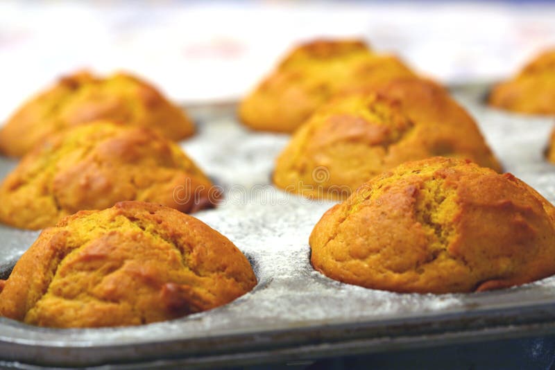 Close up of pumpkin muffins in a baking tin. Close up of pumpkin muffins in a baking tin