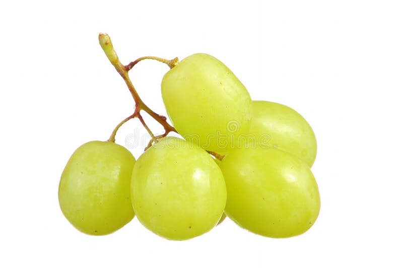 Foco selectivo de las uvas del verde del manojo aisladas en blanco fotos de archivo