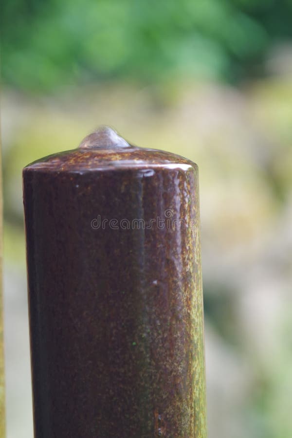 Foco selectivo vertical de una caída en una columna de madera. Un enfoque selectivo vertical de un desdoblamiento sobre una columna de madera