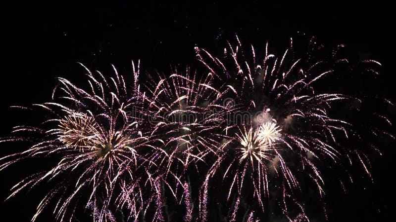 Focuri de artificii de înaltă definiție afișate cu înaltă definiție stock footage