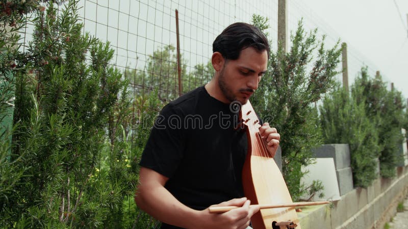 Focused Lyre Player Following The Music stock video