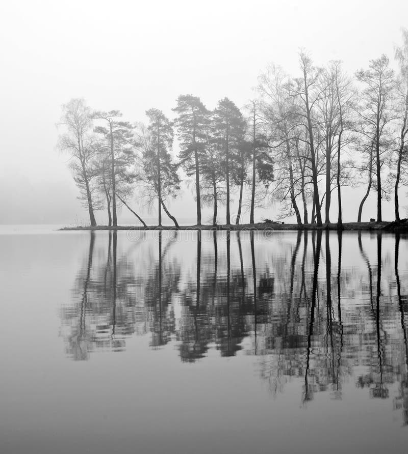 Fog above lake