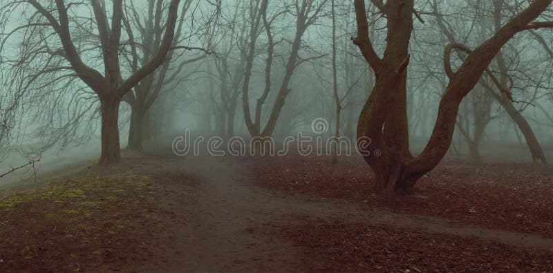 Fog background mistycal park alley autumn trees fall foliage