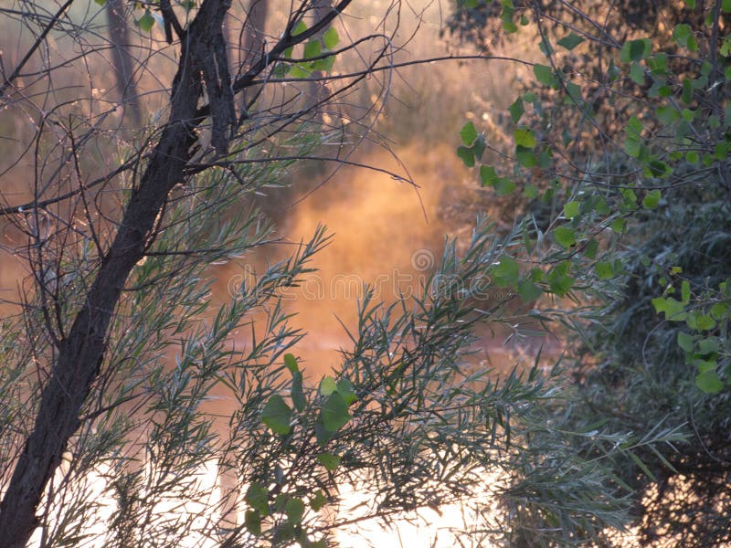 Fog and Dawn on the Colorado River