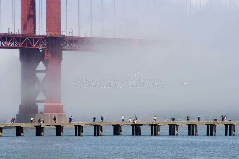 Fog Fishing