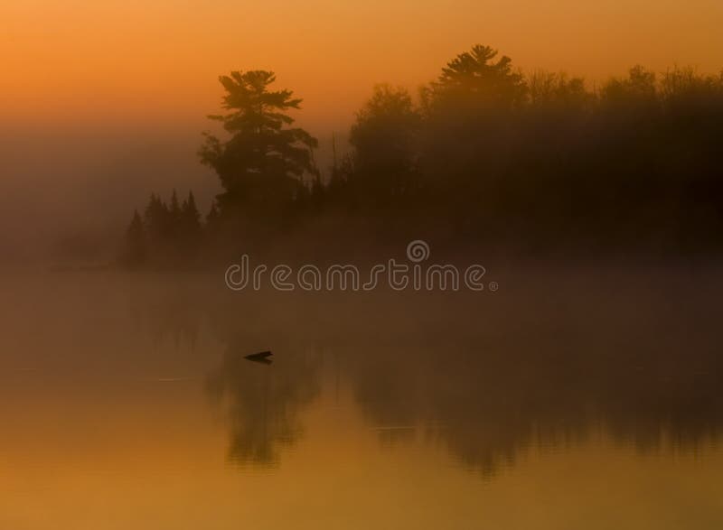 Fog, Forest, and Water at Sunrise