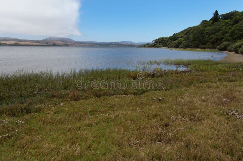 144 Tomales Bay Stock Photos Free & RoyaltyFree Stock Photos from