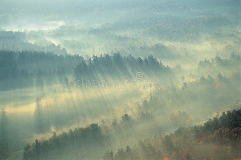 Fog Over Green Mountains