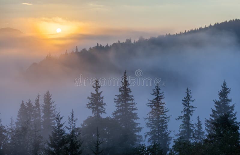 Fog over mountain range in sunrise light.