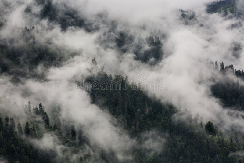 Fog over the mountains.
