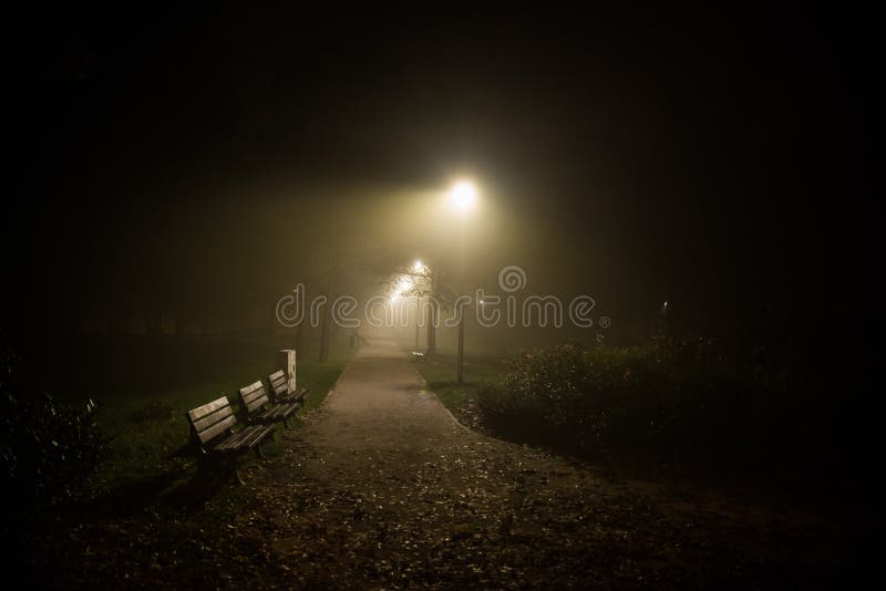 Fog in the park, night, soft focus, high iso