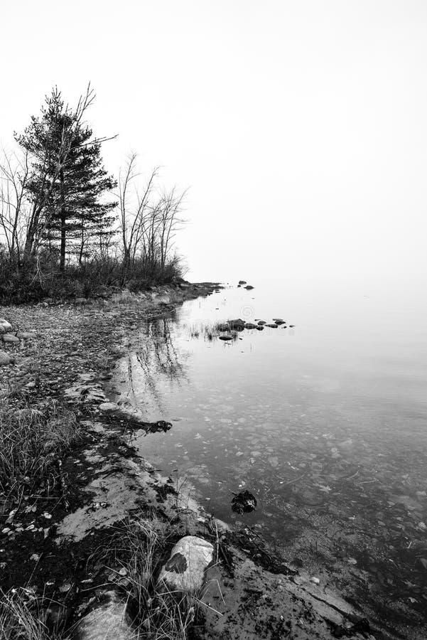 Fog rising off the Ottawa River - shoreline with diffused sunlight. Thick dense fog enveloping Ottawa River shoreline - bright diffusion, mid-morning. Point of stock photos Fog rising off the Ottawa River - shoreline with diffused sunlight. Thick dense fog enveloping Ottawa River shoreline - bright diffusion, mid-morning. Point of stock photos