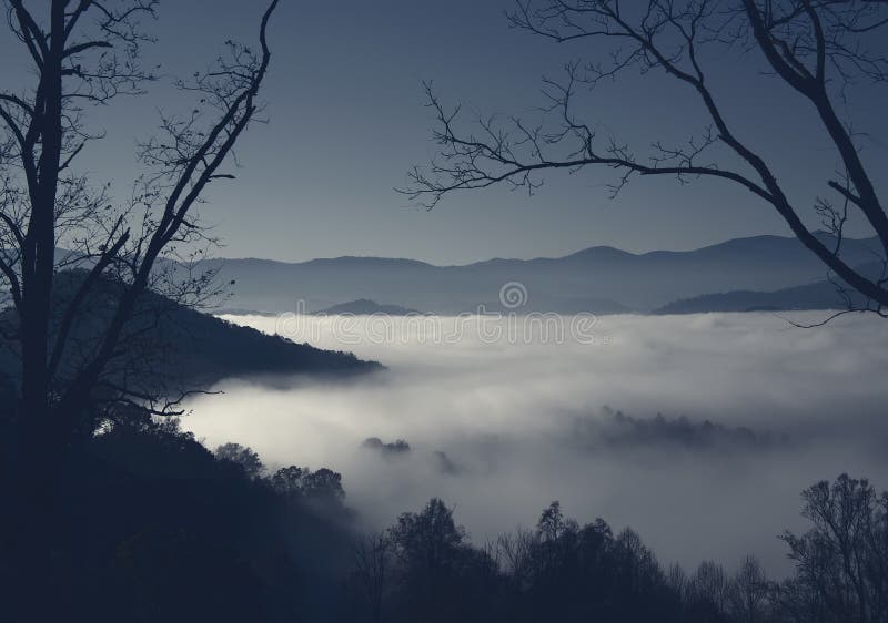 Fog in the Valley of North Carolina