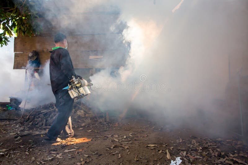 Fogging mosquito stock photo. Image of animal, fogging 62199990