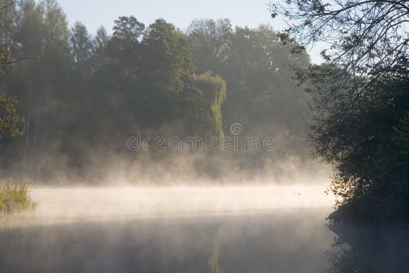 Foggy autumnal pond