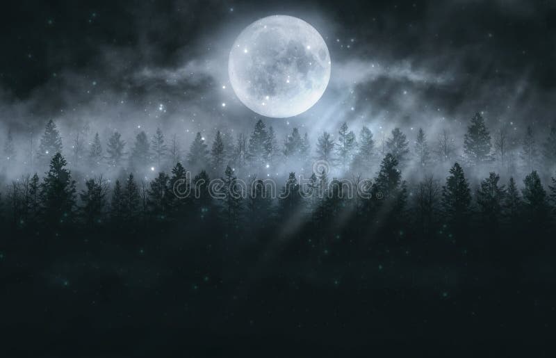 Foggy Dark Forest. Top View, Fog, Smog. Wild Forest Nature, Forest  Landscape, Landscape. Abstract Fantasy Forest Stock Image - Image of foggy,  background: 204633433