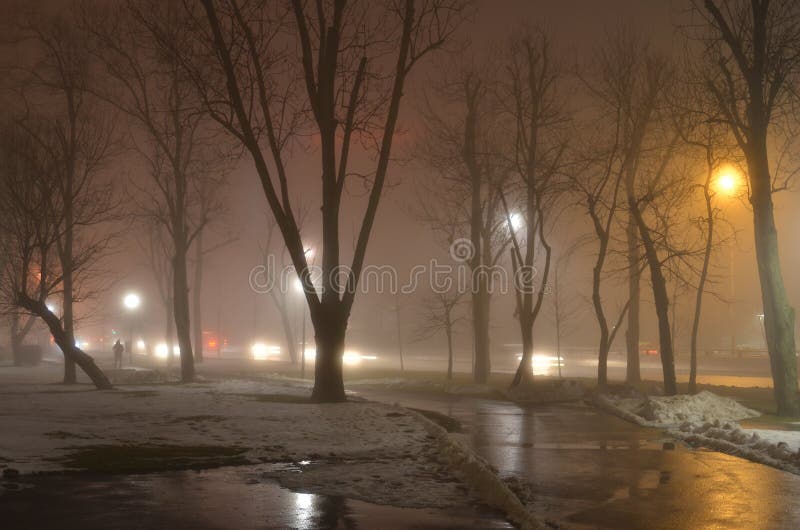 Foggy moist winter evening in the city. Empty cold winter evening in the city with bare tree trunks, electric lights, wet sidewalk