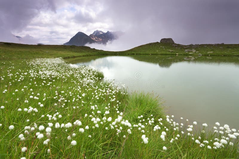 Foggy lake